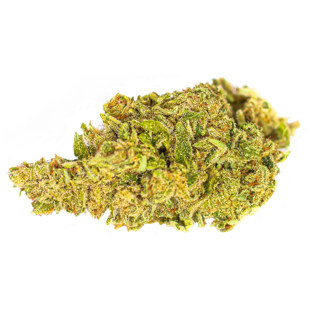Color Cannabis - White Shark 3.5G / - White Shark 3.5g Dried Flower